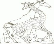 on noahs ark coloring mural  giraffes by jan brett